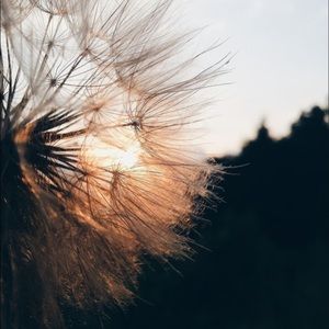 Meet your Posher, Carly